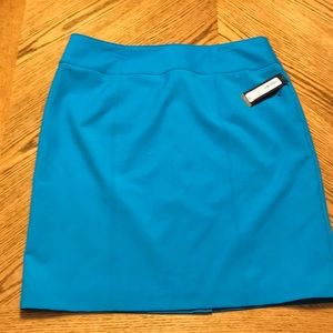 Worthington Blue Skirt